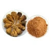 Maca P.E.